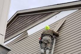 Best Vinyl Siding Installation  in Blountstown, FL